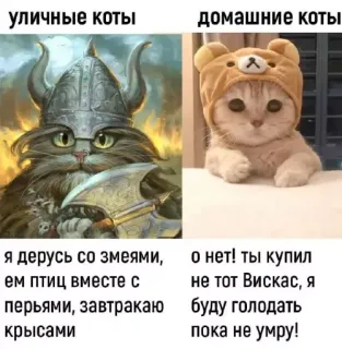 Прикольная картинка  прошедшего вторника №193125