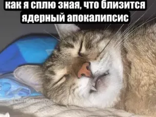 Прикольная картинка  прошедшего четверга №193439