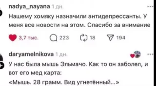 Прикольная картинка  прошедшей пятницы №193656