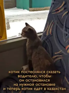 Прикольная картинка  прошедшего вторника №194559