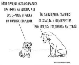 Прикольная картинка  прошедшего вторника №194678