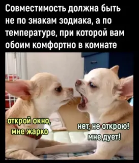 Прикольная картинка  прошедшей среды №194923