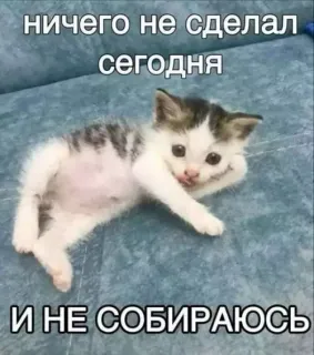 Прикольная картинка  прошедшего четверга №195171