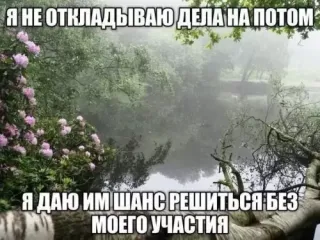 Прикольная картинка  прошедшего воскресения №195657