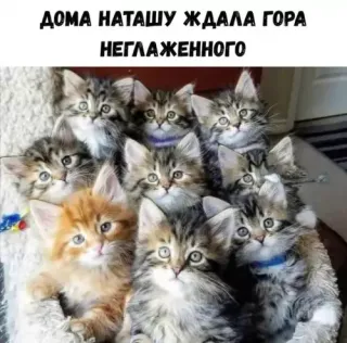 Прикольная картинка  прошедшего понедельника №195811