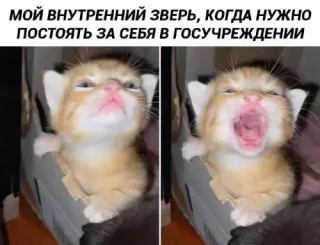 Прикольная картинка  прошедшего вторника №197479