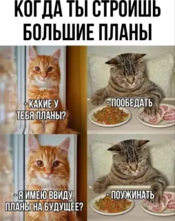 Прикольная картинка  прошедшей пятницы №198052