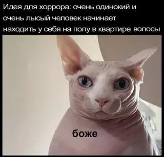 Прикольная картинка  прошедшего вторника №199039