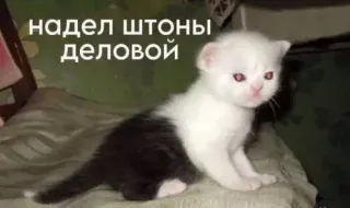 Прикольная картинка  прошедшего понедельника №200241