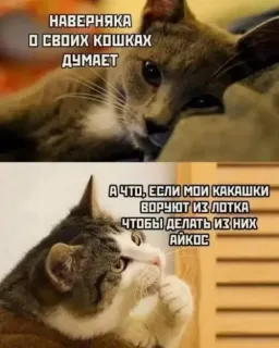 Прикольная картинка  прошедшего вторника №200428