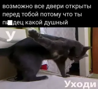 Прикольная картинка  прошедшей среды №200706