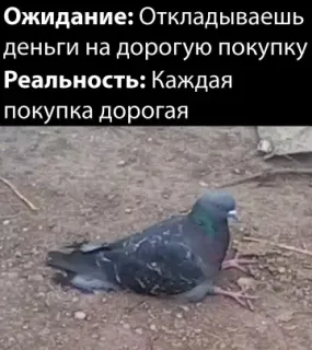 Прикольная картинка  прошедшего воскресения №201399