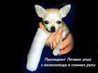 Прикольная картинка  прошедшей субботы №202546