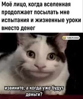 Прикольная картинка  прошедшего воскресения №202896