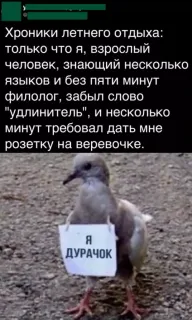 Прикольная картинка  прошедшего вторника №203289