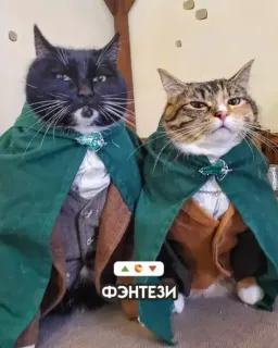 Прикольная картинка  прошедшего вторника №203322