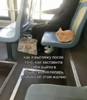 Прикольная картинка  прошедшего четверга №203528