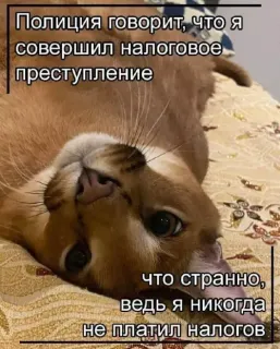 Прикольная картинка  прошедшей пятницы №203723