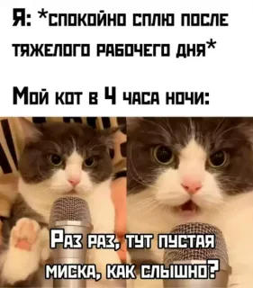 Прикольная картинка  прошедшей пятницы №203828