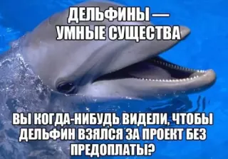 Прикольная картинка  прошедшего вторника №204719