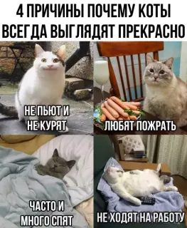 Прикольная картинка  прошедшей субботы №205477