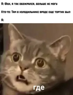 Прикольная картинка  прошедшего вторника №206053