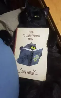 Прикольная картинка  прошедшей среды №207575