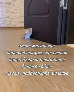 Прикольная картинка  прошедшей пятницы №208061