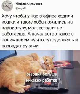 Прикольная картинка  прошедшей пятницы №208091