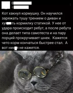 Прикольная картинка  прошедшей среды №209035