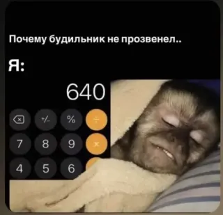 Прикольная картинка прошедшего воскресения №254146