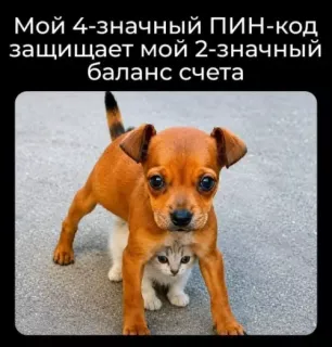 Прикольная картинка прошедшего воскресения №254149