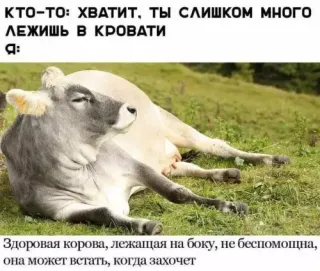 Прикольная картинка прошедшего воскресения №254150