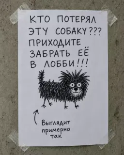 Прикольная картинка прошедшего вторника №254345