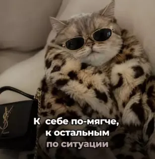 Прикольная картинка прошедшей среды №255149