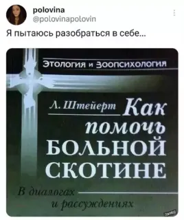 Прикольная картинка прошедшей субботы №255505