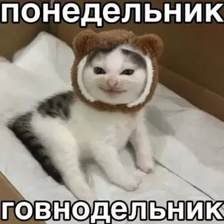 Прикольная картинка прошедшего понедельника №264699
