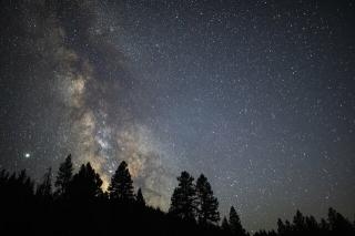 Темные обои: ночь, звезды, деревья, млечный путь