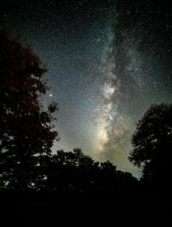 Темные обои: деревья, звездное небо, ночь, темный