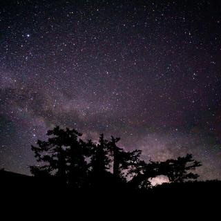 Темные обои: ветки, ночь, деревья, звезды