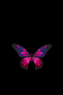 Темные обои: бабочка, узоры, крылья, темный фон