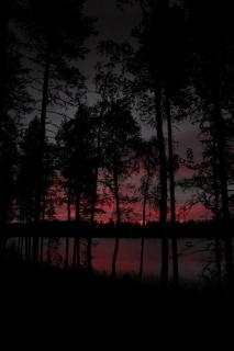 Темные обои: сумерки, деревья, озеро, темный
