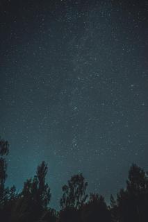 Темные обои: деревья, ночь, звездное небо, темный