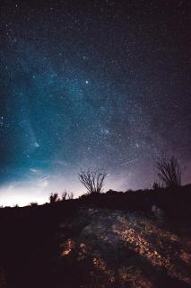 Темные обои: ночь, деревья, звездное небо, звезды