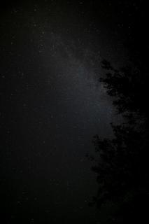 Темные обои: туманность, ночь, звезды, дерево