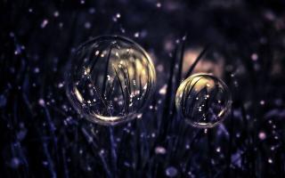 Темные обои: трава, капли, пузыри