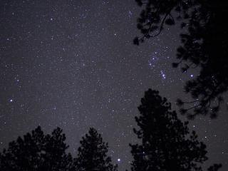 Темные обои: звезды, деревья, темнота, ночь