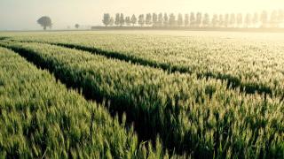 Обои № 549001 nature