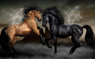 Обои № 556151 horses