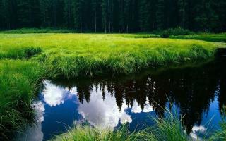 Обои № 567891 reflection